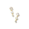 Blakely 18K Gold Vermeil Drop Earrings In Rainbow Moonstone^Kendra Scott Cheap